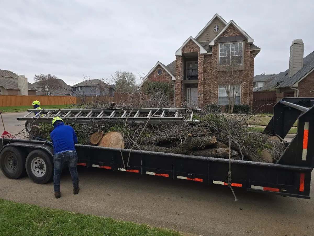 Expert Tree Removal with proper safety equipment in Maspeth
